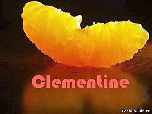 Clementine v.1.0.1 (2012/Rus/17.71 МБ)