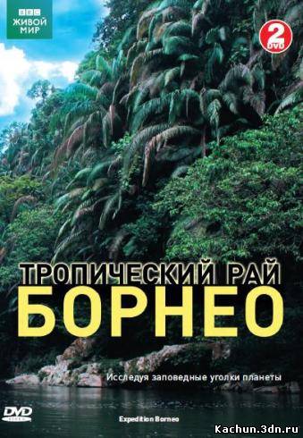 Фильм BBC: Тропический рай Борнео (2007)  - Смотреть Онлайн